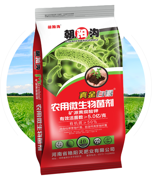 朝陽溝生物有機(jī)肥